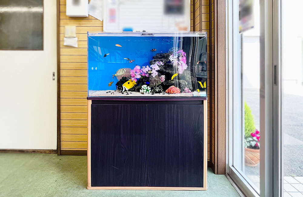 青い背景に造花と岩を配置した熱帯魚水槽と黒い水槽台
