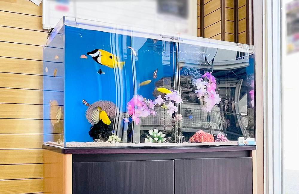 海水魚とピンクの造花を配置した青い背景の水槽