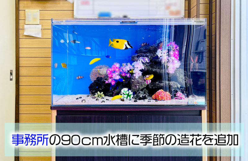 事務所の90cm海水魚水槽に造花を追加！季節のレイアウト 水槽画像１