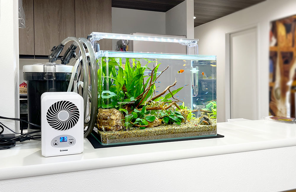 水槽用クーラーと外部フィルターを設置した水草水槽