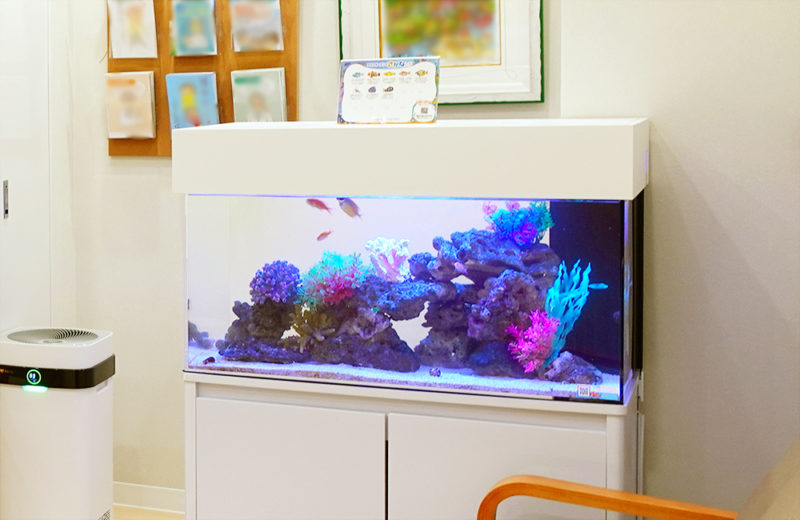 耳鼻科クリニック様に設置！待合室の90cm海水魚水槽でリラックスムードを演出 水槽画像２