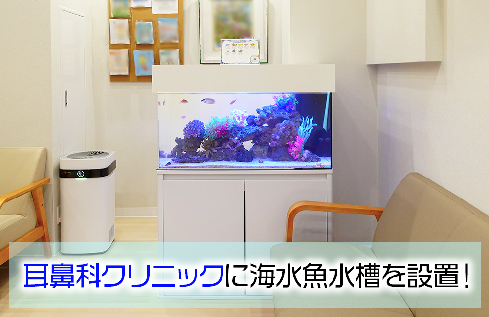 耳鼻科クリニック様に設置！待合室の90cm海水魚水槽でリラックスムードを演出