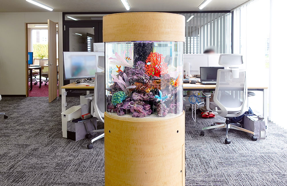 オフィスに設置された円柱型の海水魚水槽とサンゴのレイアウト