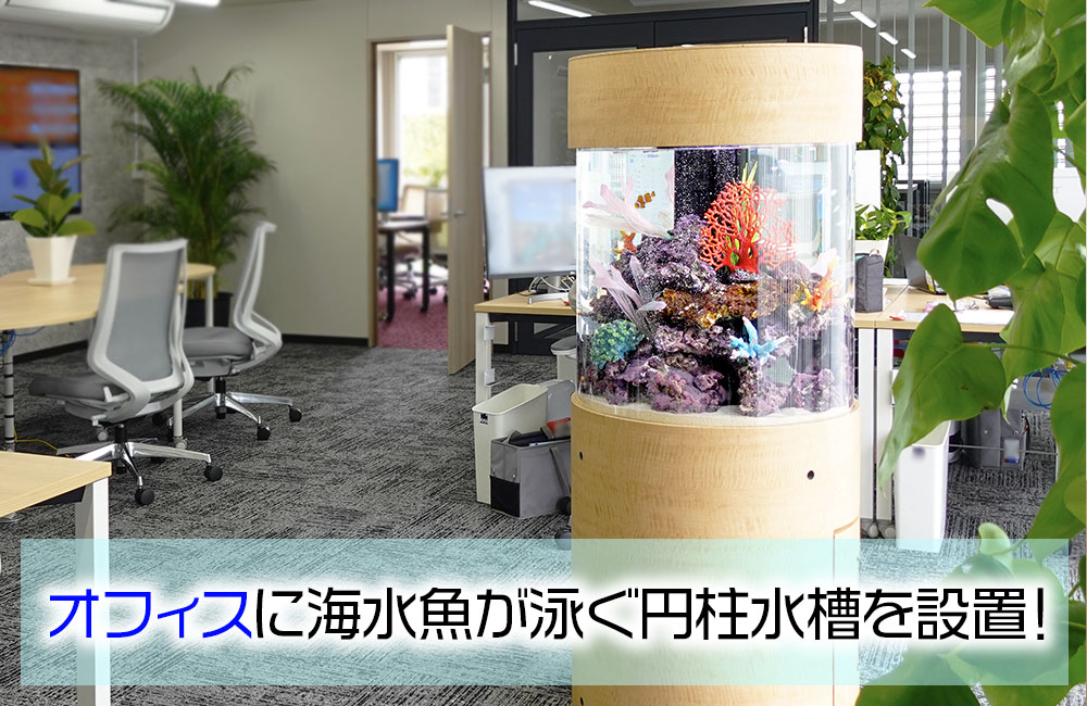 オフィスの中心部に設置！直径60cmの円柱水槽！海水魚が泳ぎます