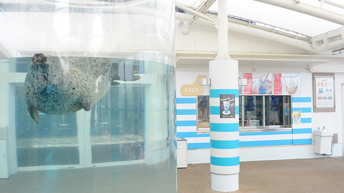 引用 京都水族館
