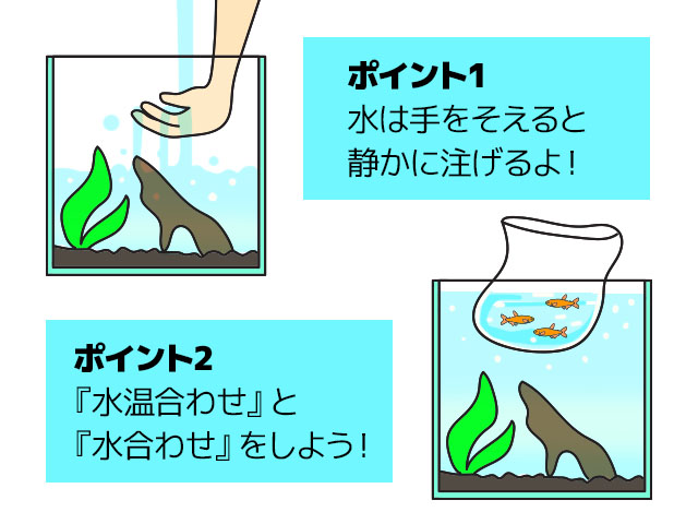 注水と水温合わせ・水合わせのポイントを記したイラスト