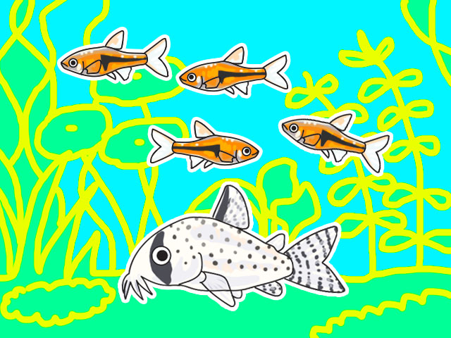 水草を背景に泳ぐコリドラスの仲間と小型熱帯魚のイラスト