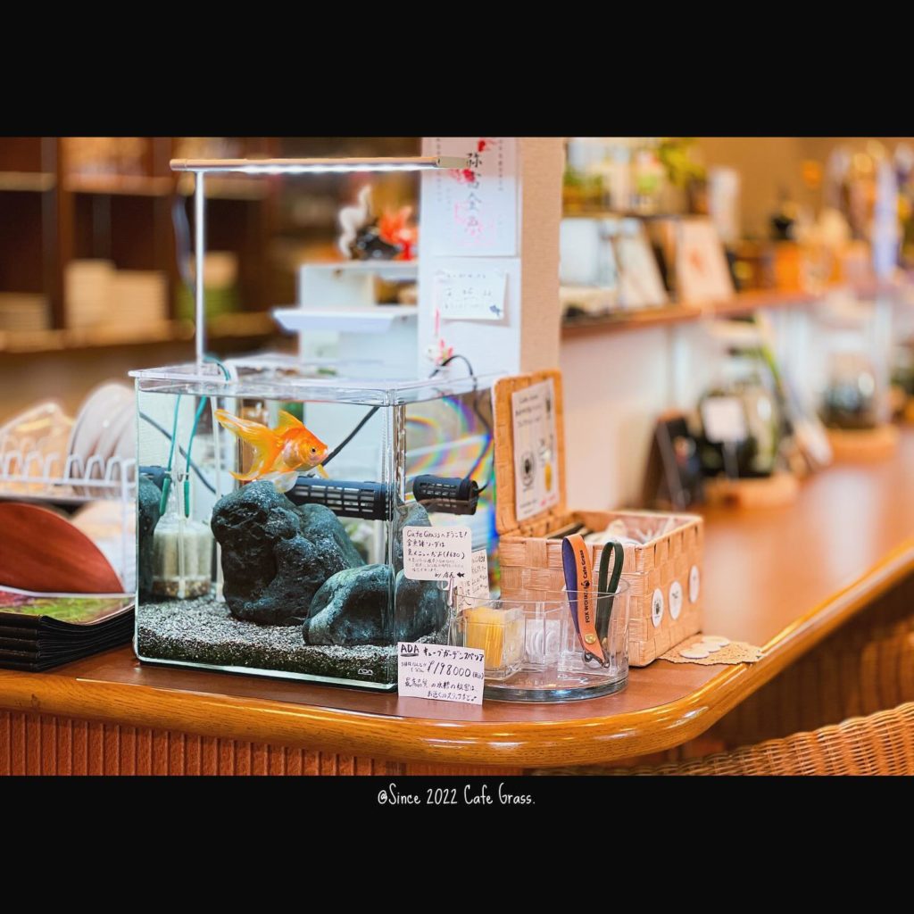 引用Coffee＆Aquarium Cafe Grass公式Instagram