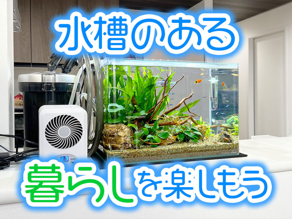 水槽のある暮らしとは！アクアリウムの楽しみとメリット、暮らしの事例のサムネイル画像