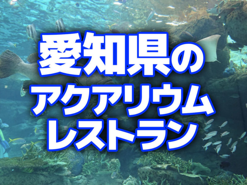 愛知県のアクアリウムレストランの見出し画像