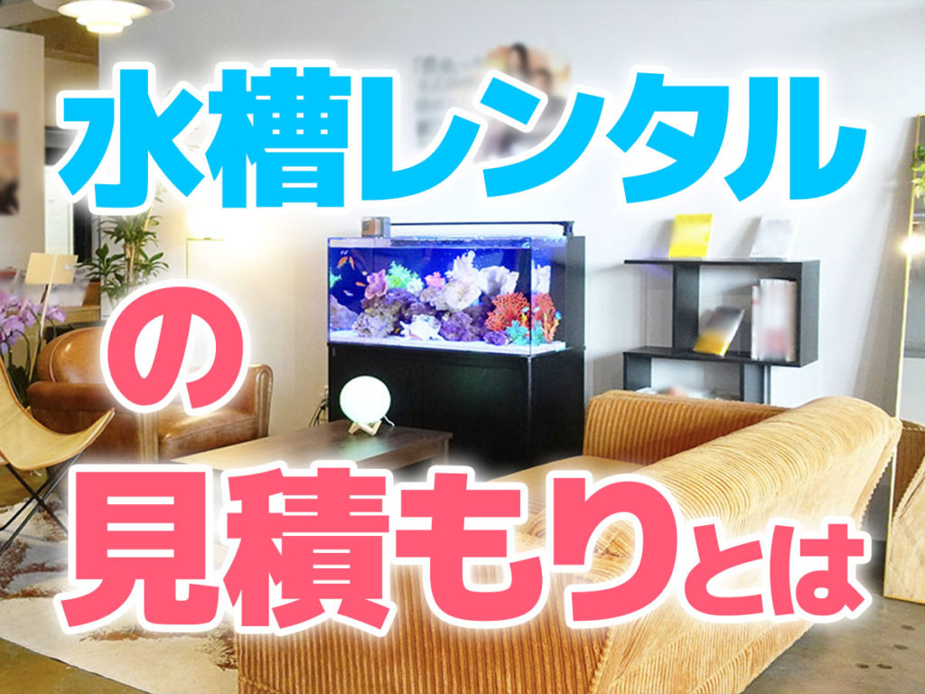 水槽レンタルの見積もりとは!内容や金額例を解説!いくらかかるのかのサムネイル画像