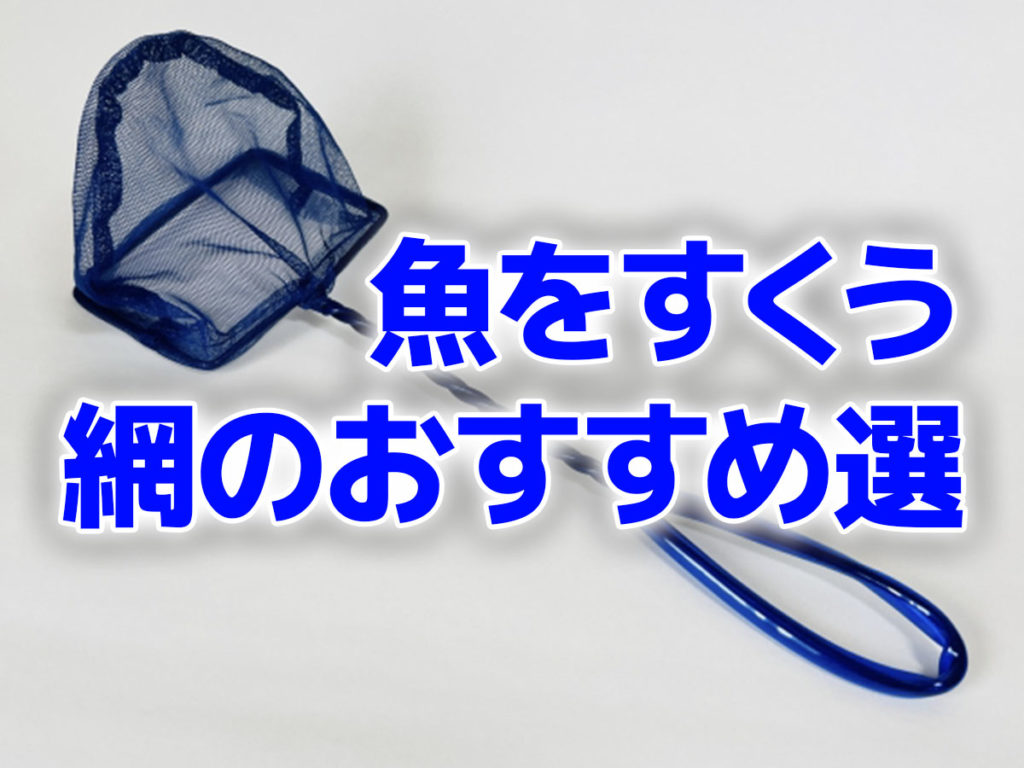 魚をすくう網（魚網）はどれがいい？おすすめ商品と選定ポイントを紹介のサムネイル画像