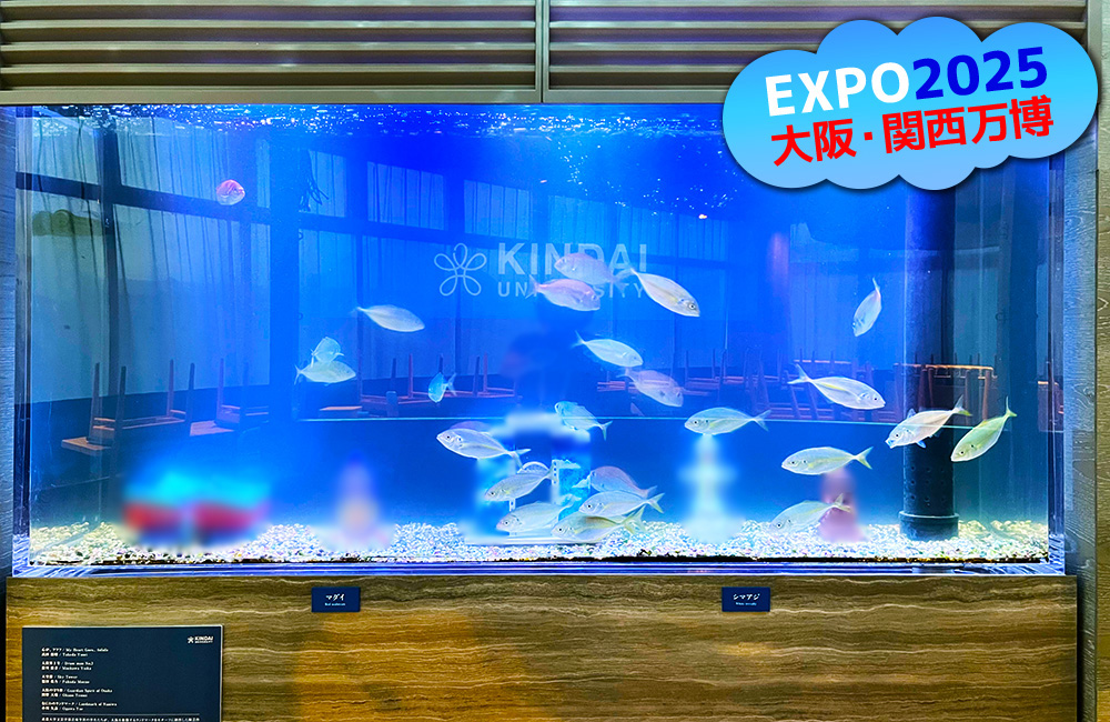 大阪・関西万博のロゴと海水魚が泳ぐ大型水槽の展示画像
