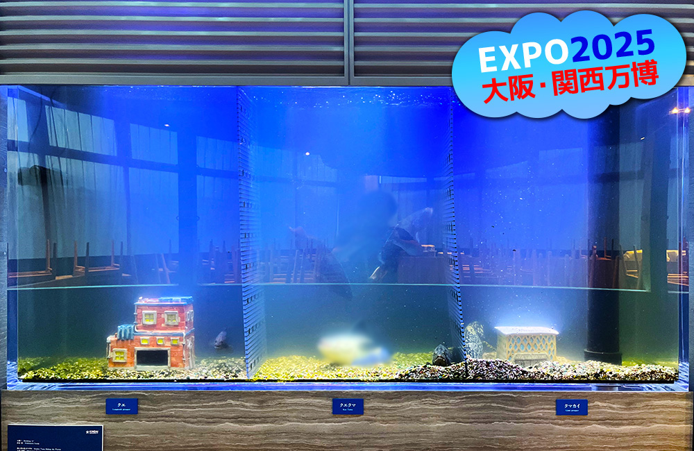 大阪・関西万博のロゴがある3分割された大型水槽の見出し画像
