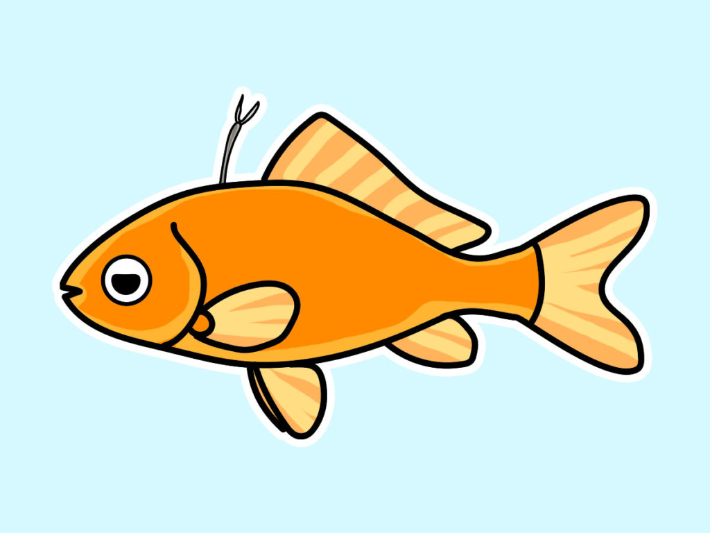 背中に寄生虫のイカリムシがついた金魚のイラスト