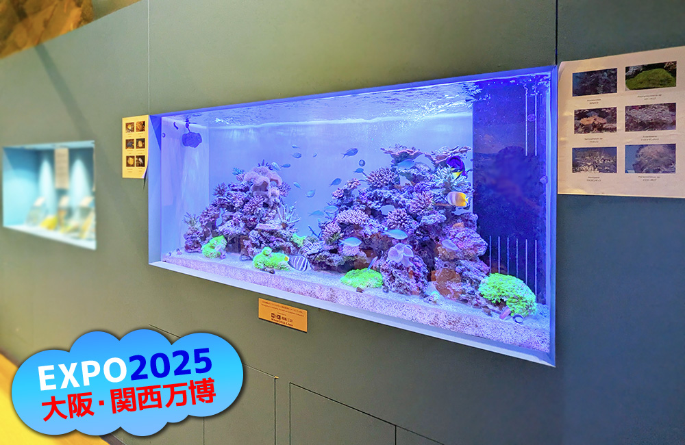 EXPO2025大阪・関西万博のロゴと海水魚水槽