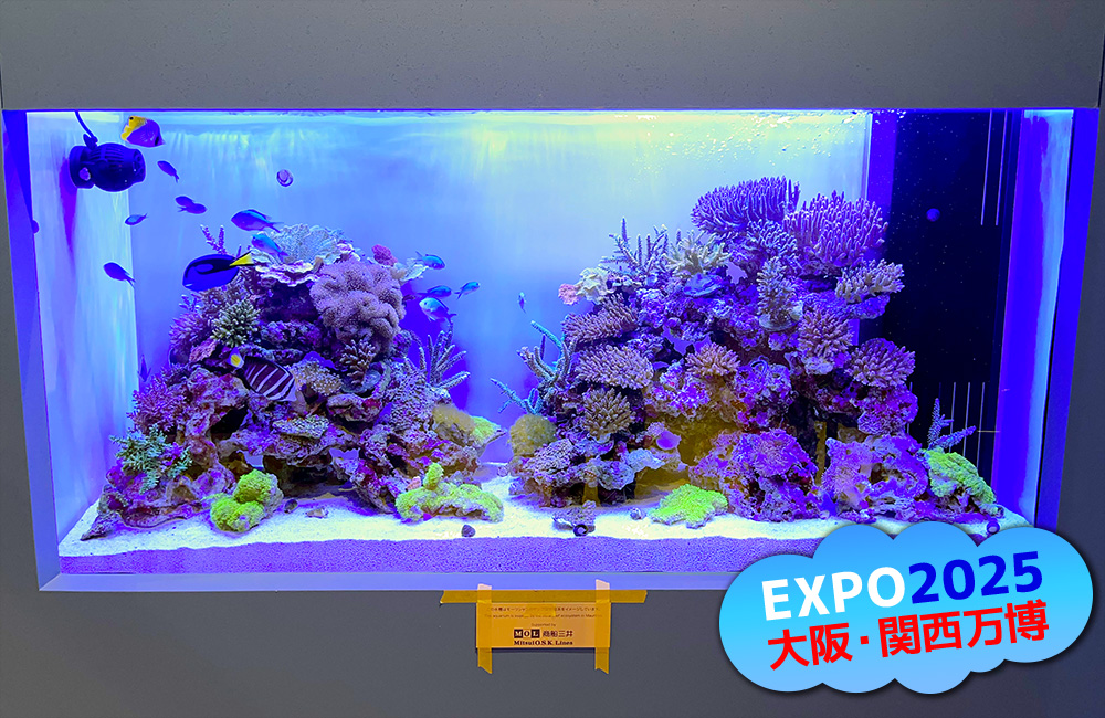 EXPO2025大阪・関西万博のロゴがある海水魚水槽