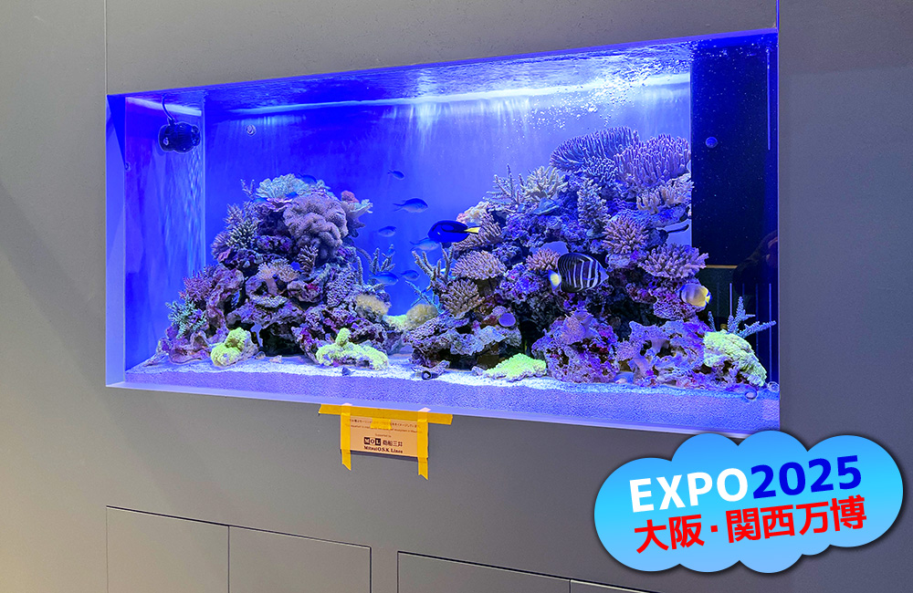 EXPO2025大阪・関西万博の文字とサンゴ礁の海水槽