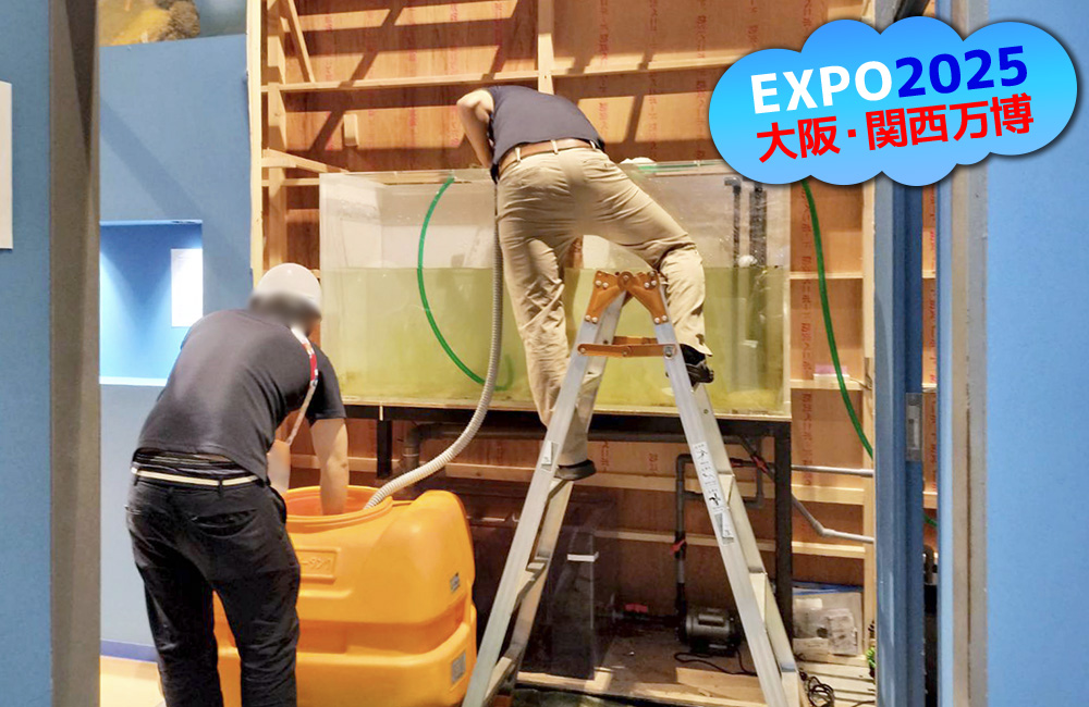 大阪・関西万博のロゴと大型水槽を設置する作業員の見出し画像