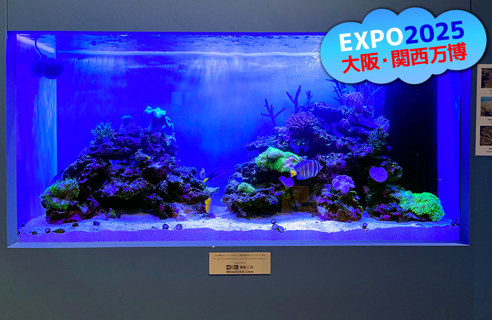 EXPO2025大阪・関西万博の文字と海水魚水槽