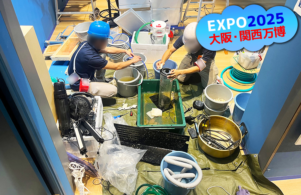 EXPO2025大阪・関西万博のロゴと水槽清掃作業