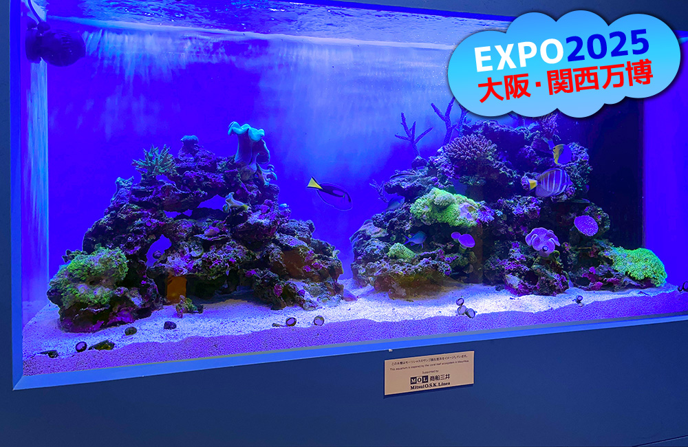 大阪・関西万博ロゴとサンゴ礁を再現した海水魚水槽の見出し画像