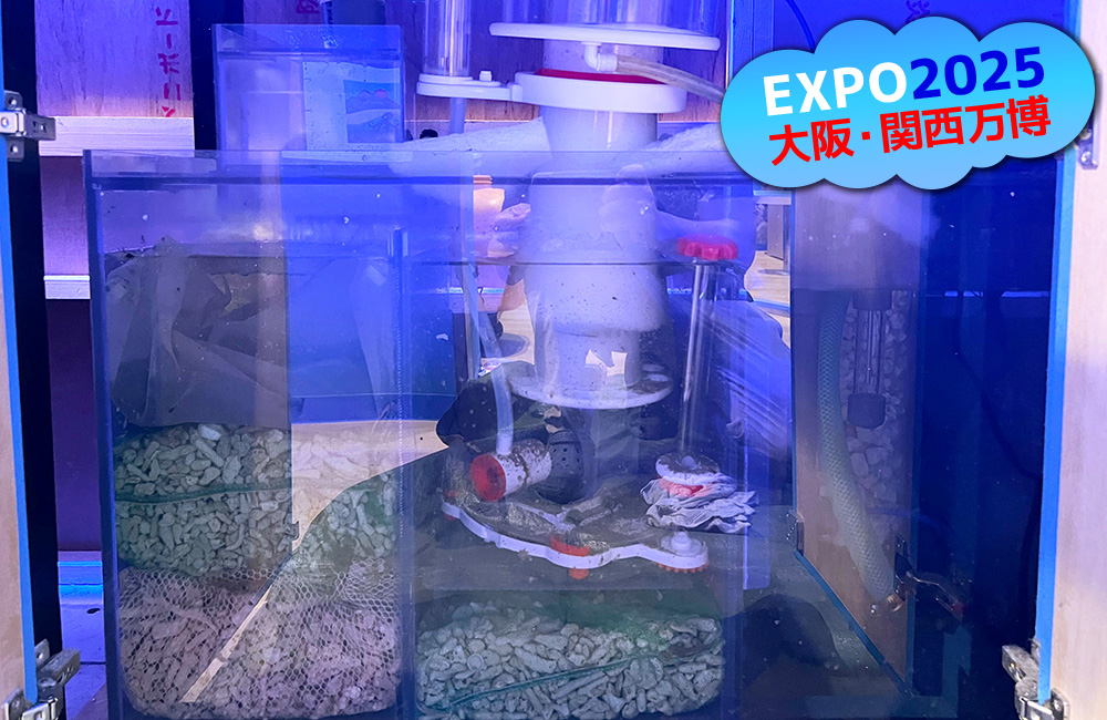 EXPO2025大阪・関西万博の文字と濾過槽の画像