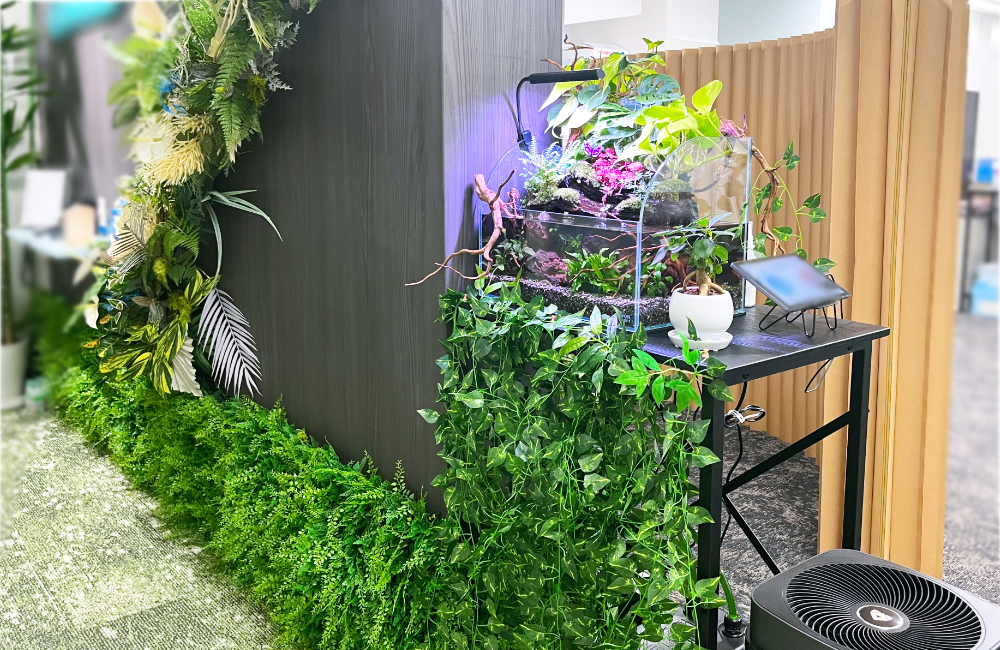 観葉植物とアクアテラリウム水槽の設置例