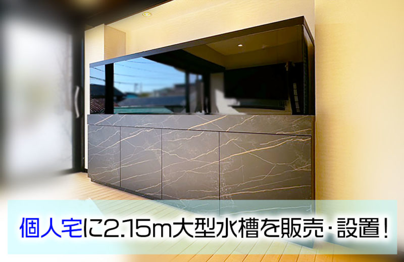 東京都江東区　個人宅様　30cm淡水魚水槽　お試しレンタル事例