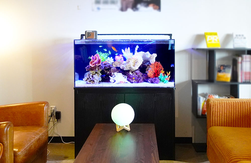 ソファのある室内に設置された海水魚水槽のレイアウト