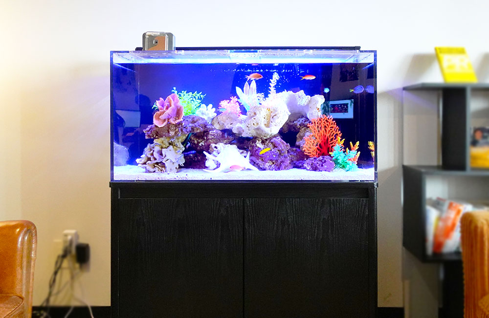 90cm水槽