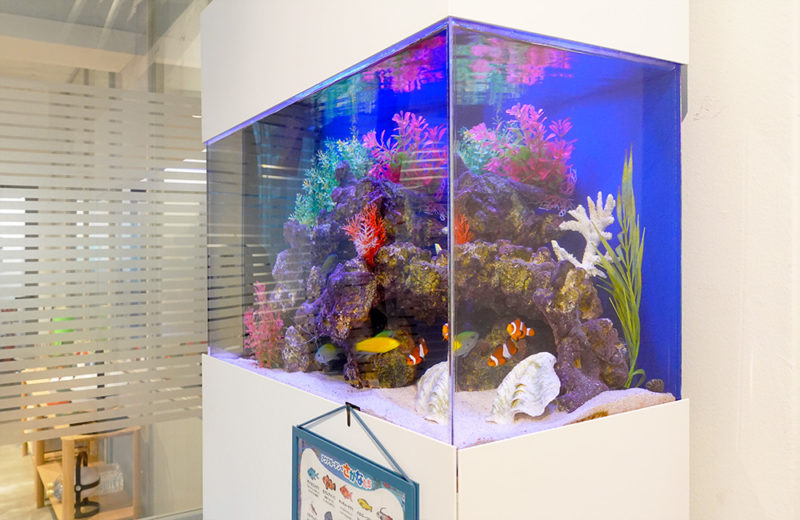 オフィスの60cm海水魚水槽!ハイタイプの水槽台で観賞性アップ 水槽画像3
