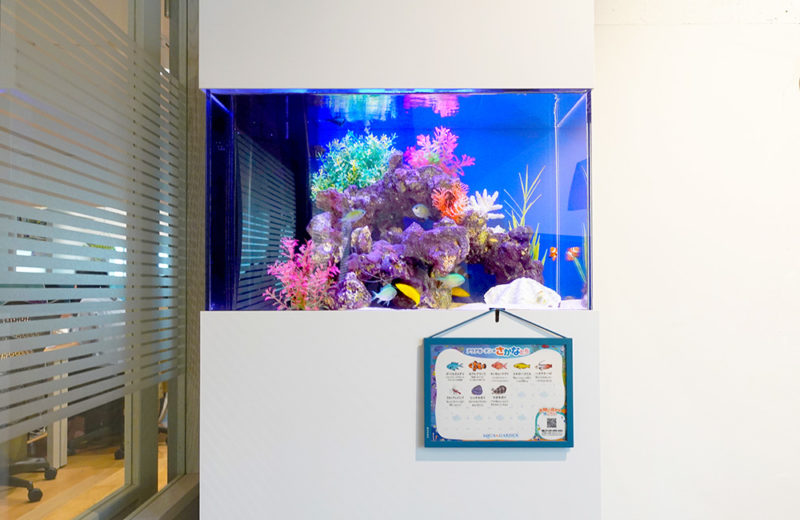 オフィスの60cm海水魚水槽!ハイタイプの水槽台で観賞性アップ 水槽画像5
