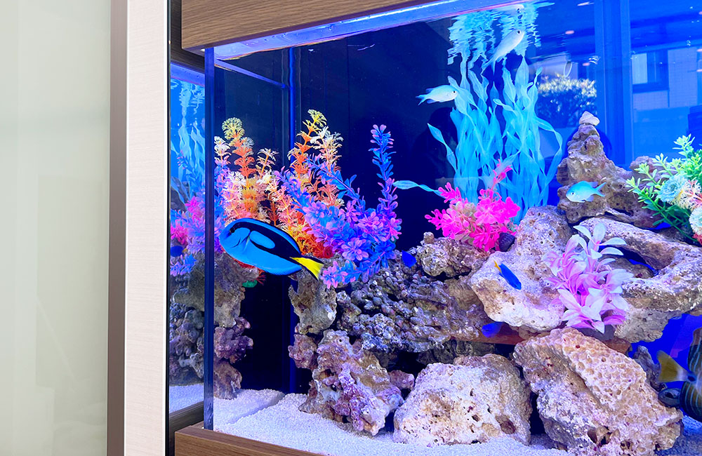 青い海水魚とカラフルな人工水草を配置した海水魚水槽