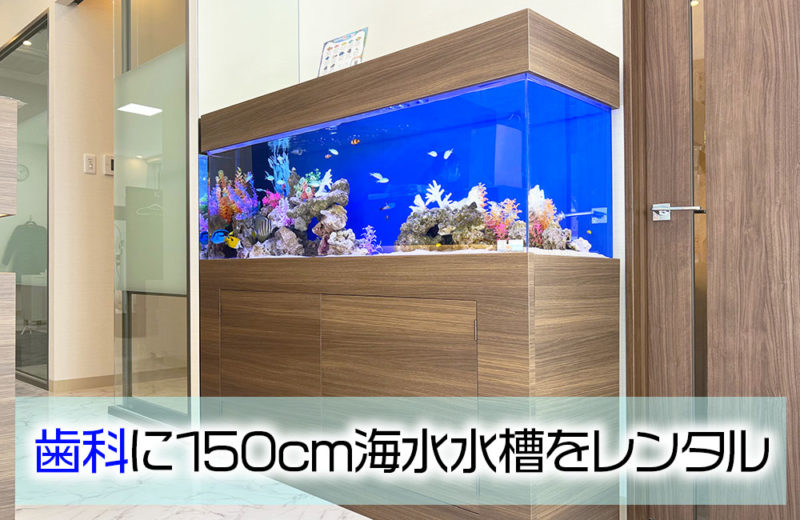歯科様のエントランスに150cm海水魚水槽をレンタル! 水槽画像1