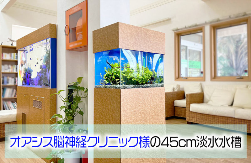 オアシス脳神経クリニック様の45cm淡水魚水槽!15年目の様子 水槽画像1