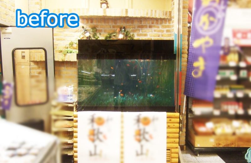 スーパーマーケット店舗内の120cm淡水魚水槽をリニューアル! 水槽画像2