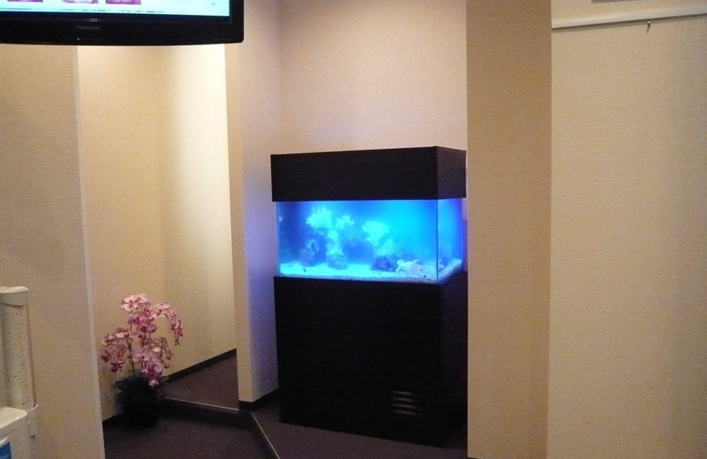 神奈川県横浜市 歯科クリニック様 90cm海水魚水槽 販売・メンテナンス事例のサムネイル画像