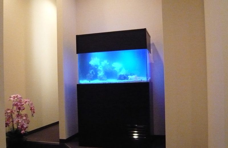 神奈川県横浜市 歯科クリニック様 90cm海水魚水槽 販売・メンテナンス事例 水槽画像2