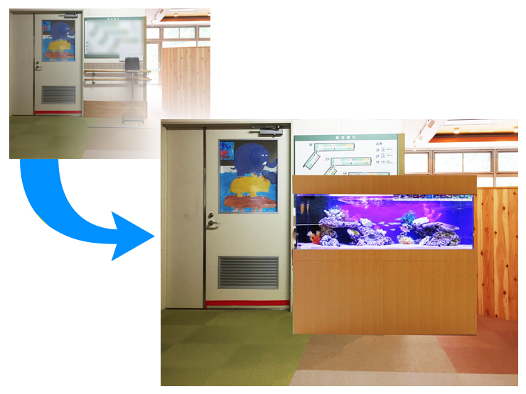 施設内に設置された大型海水魚水槽のビフォーアフター画像
