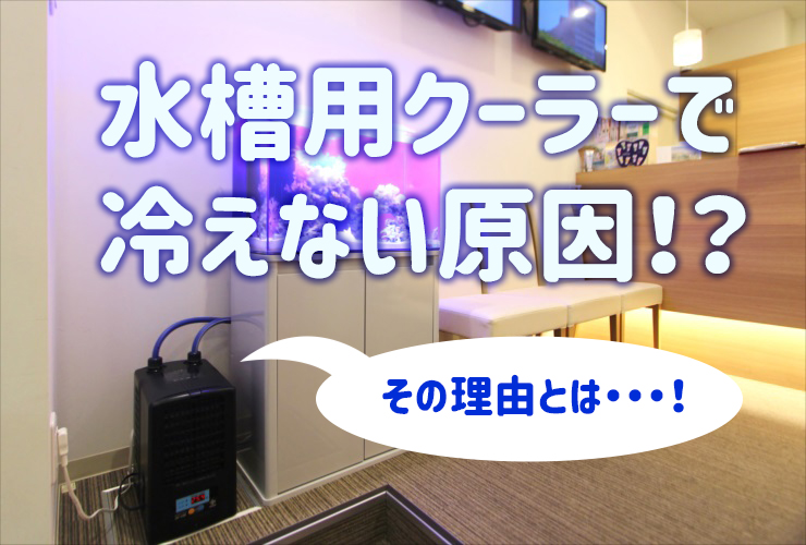水槽用クーラーで冷えない原因！？の文字入り見出し画像