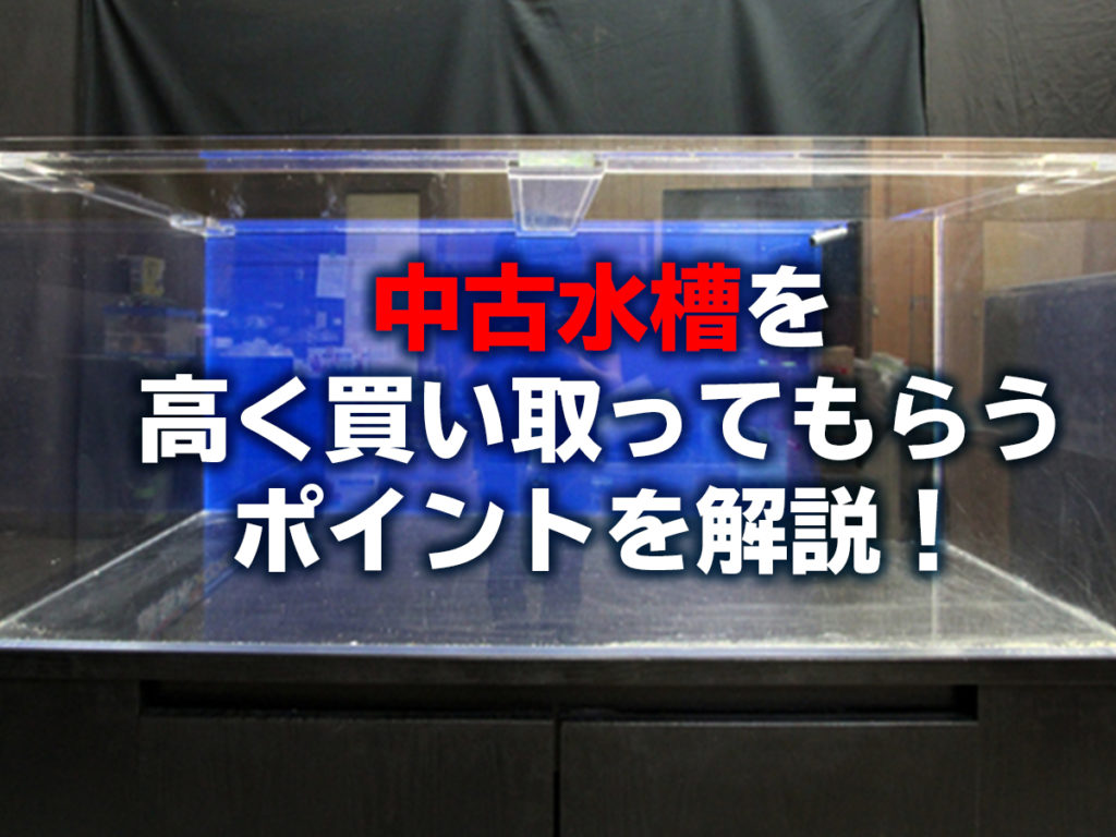 中古水槽を高く買い取ってもらう方法！売るコツと売れるアクアリウム用品のサムネイル画像