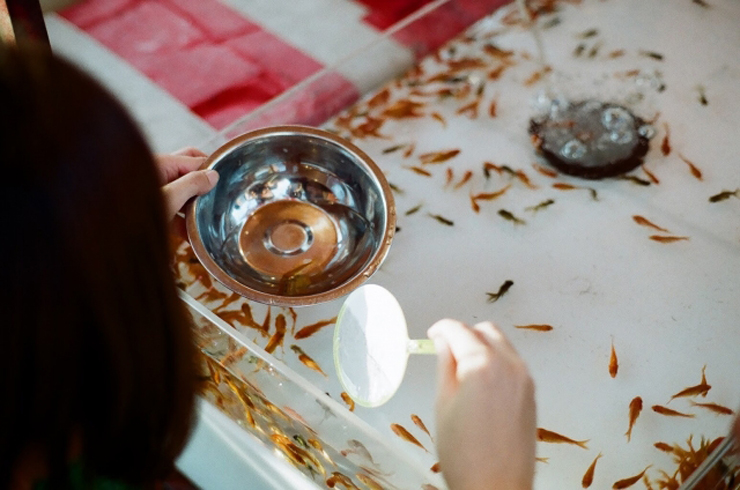 ポイとボウルを持ち金魚すくいをする人の手元
