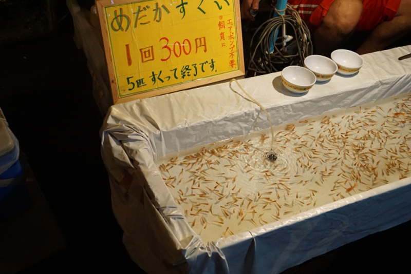 めだかすくい1回300円の看板と水槽に泳ぐ大量のメダカ