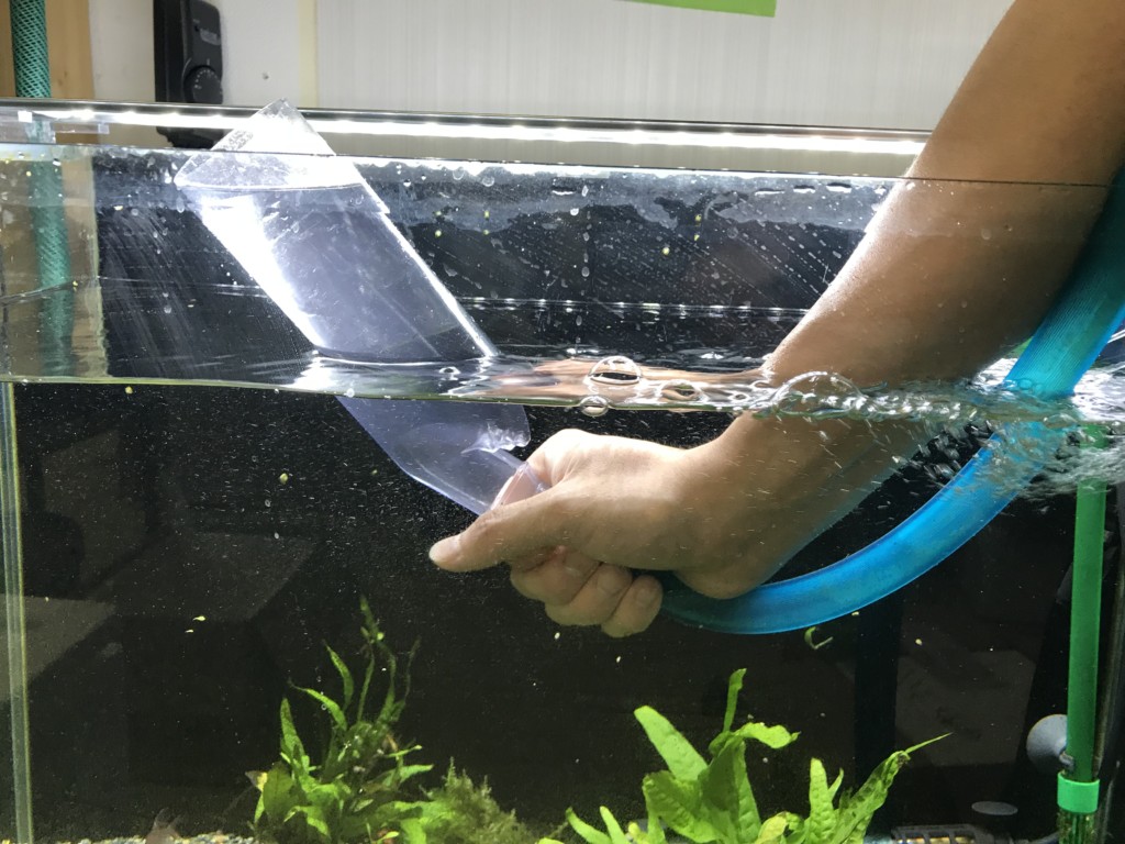 水槽内でホースと筒を使い水換えを行う人の手元