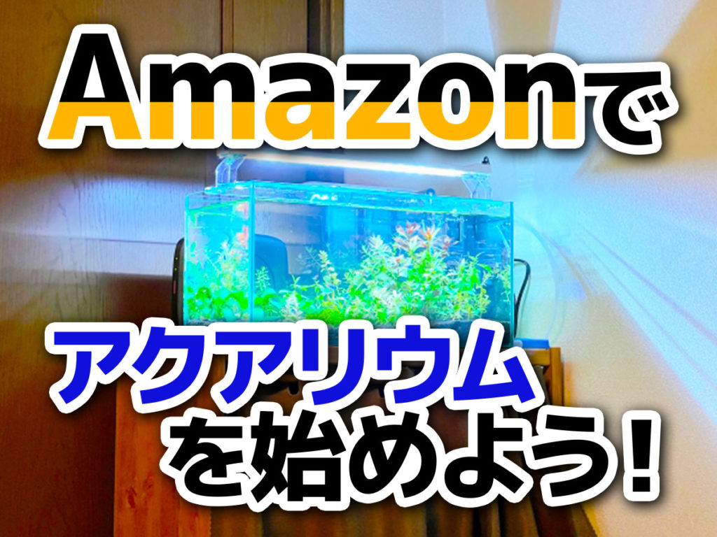 Amazonでアクアリウムを始めよう!水槽の通販とお役立ちアイテムのサムネイル画像