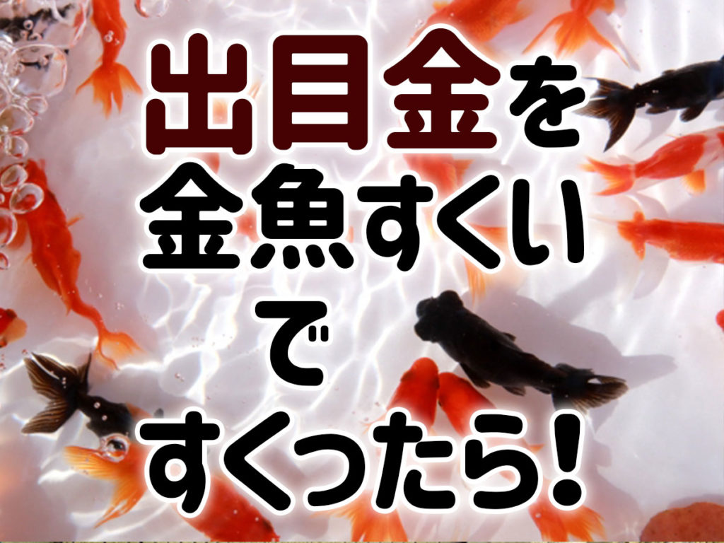 出目金を金魚すくいですくったら！持ち帰ったあとの飼育方法を解説のサムネイル画像
