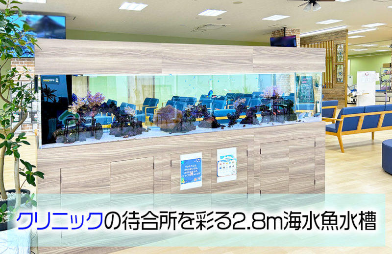 クリニック様の待合所にある2.8mサンゴ水槽をメンテナンス管理! 水槽画像1