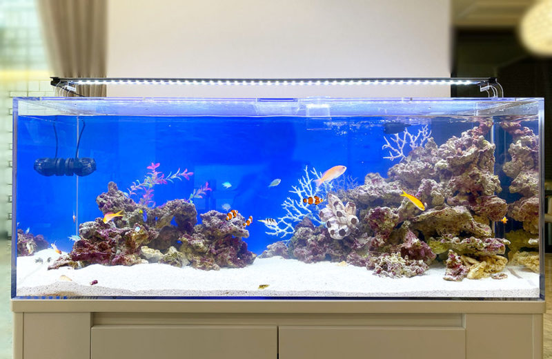 個人宅様に120cm海水魚水槽を設置!内装に映える青いマリンアクアリウム 水槽画像2
