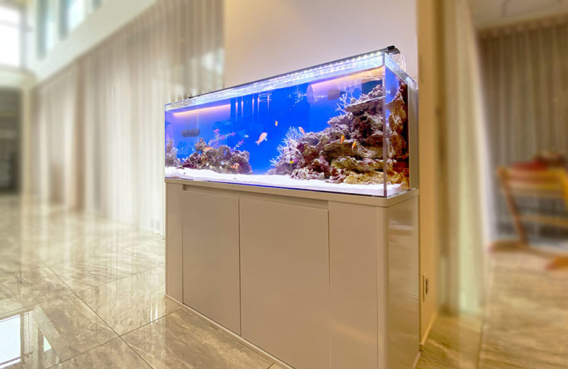 個人宅様に120cm海水魚水槽を設置!内装に映える青いマリンアクアリウム 水槽画像3